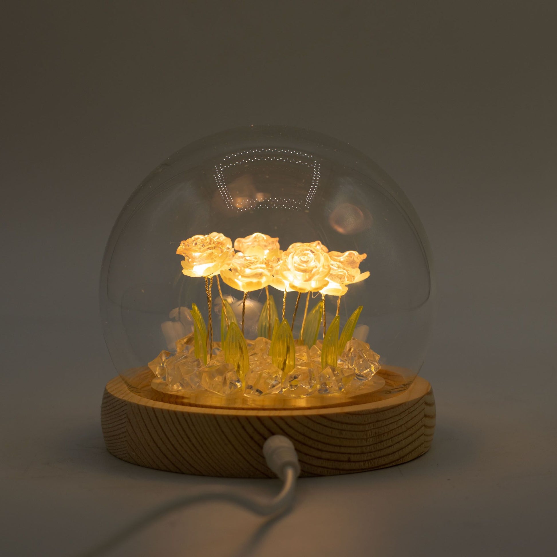Floral Glow Garden Dome - 10 Pink Roses - LED USB - Luna Panther