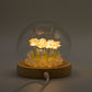 Floral Glow Garden Dome - 10 Pink Roses - LED USB - Luna Panther
