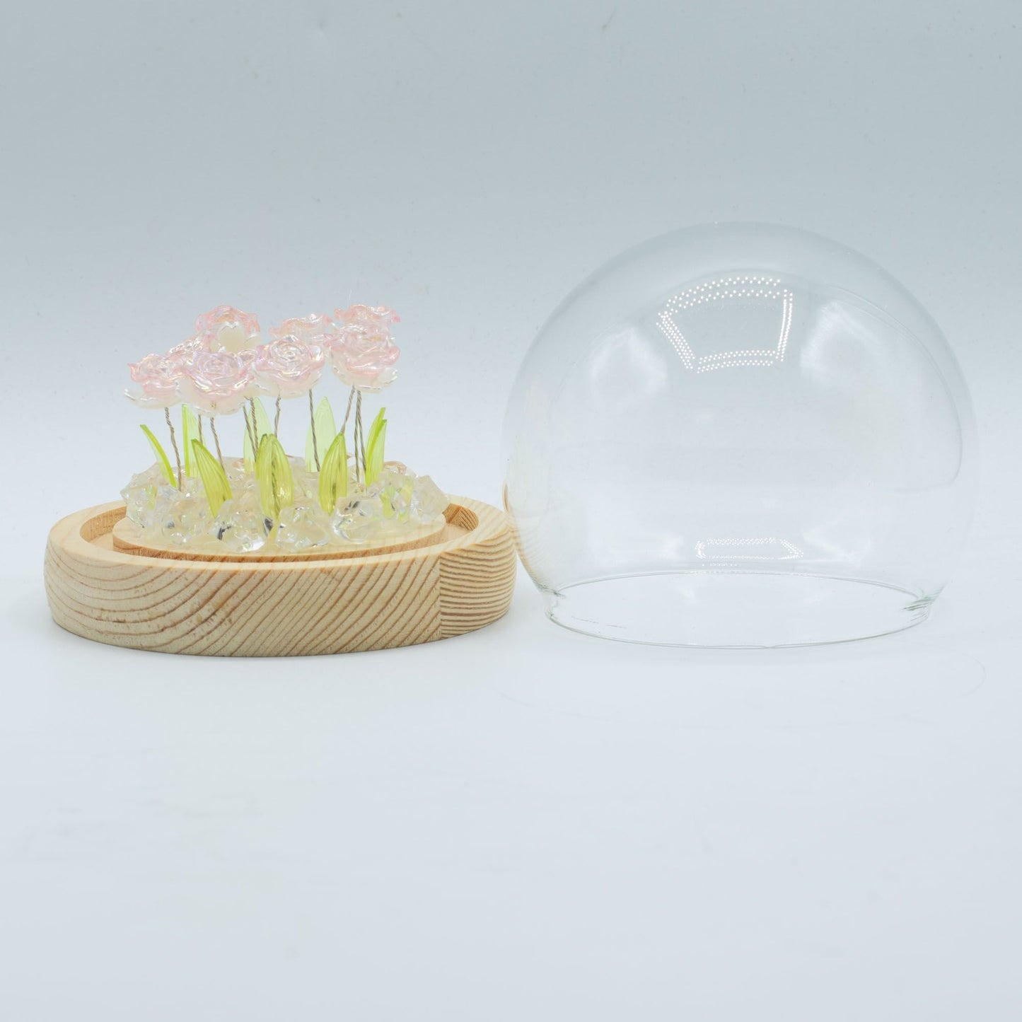 Floral Glow Garden Dome - 10 Pink Roses - LED USB - Luna Panther