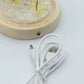 Floral Glow Garden Dome - 2 Dandelions - LED USB - Luna Panther