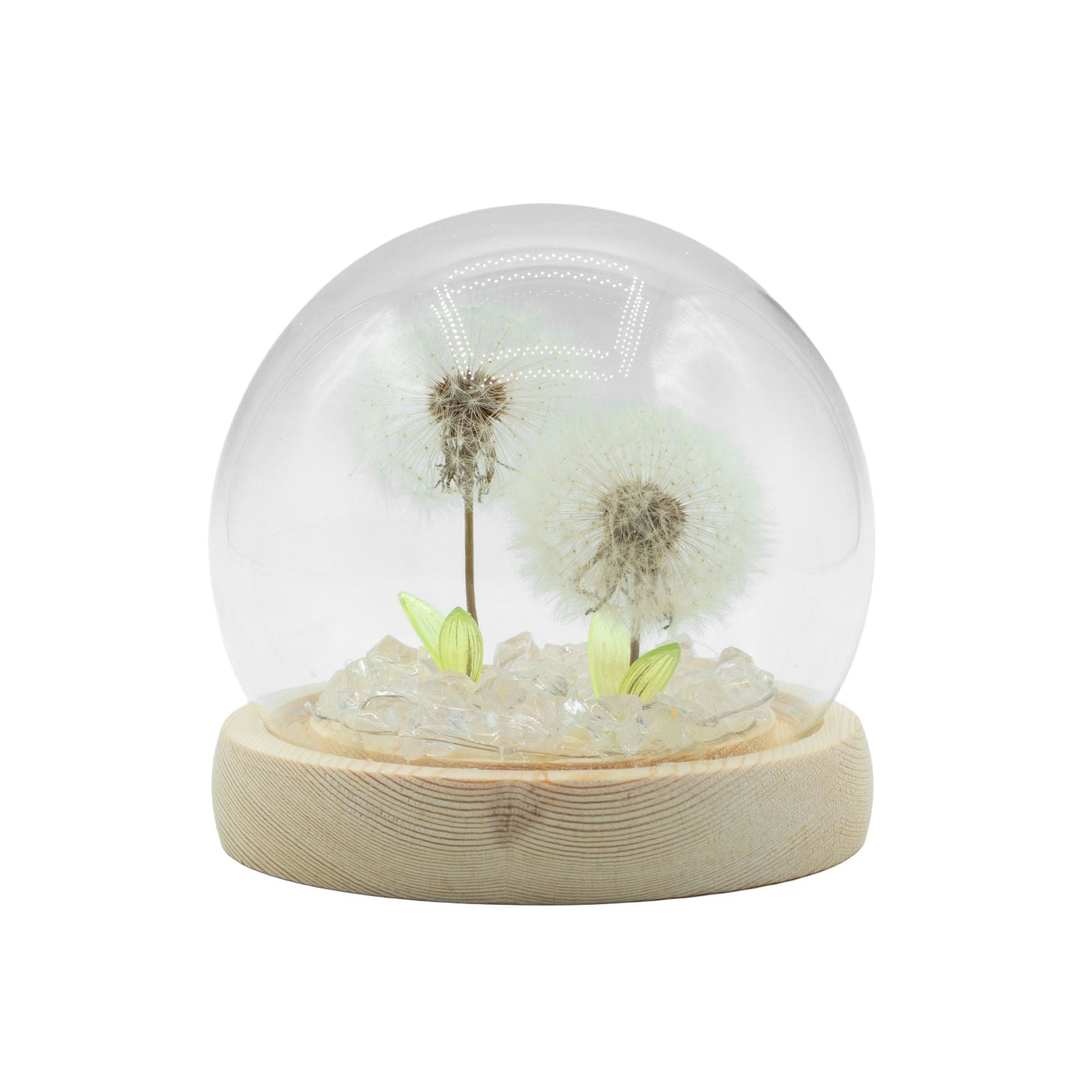 Floral Glow Garden Dome - 2 Dandelions - LED USB - Luna Panther
