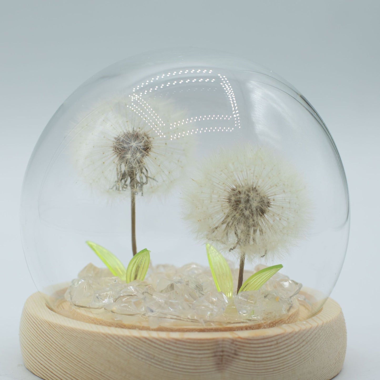 Floral Glow Garden Dome - 2 Dandelions - LED USB - Luna Panther