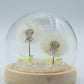Floral Glow Garden Dome - 2 Dandelions - LED USB - Luna Panther