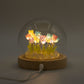 Floral Glow Garden Dome - 20 Multi Tulips - LED USB - Luna Panther
