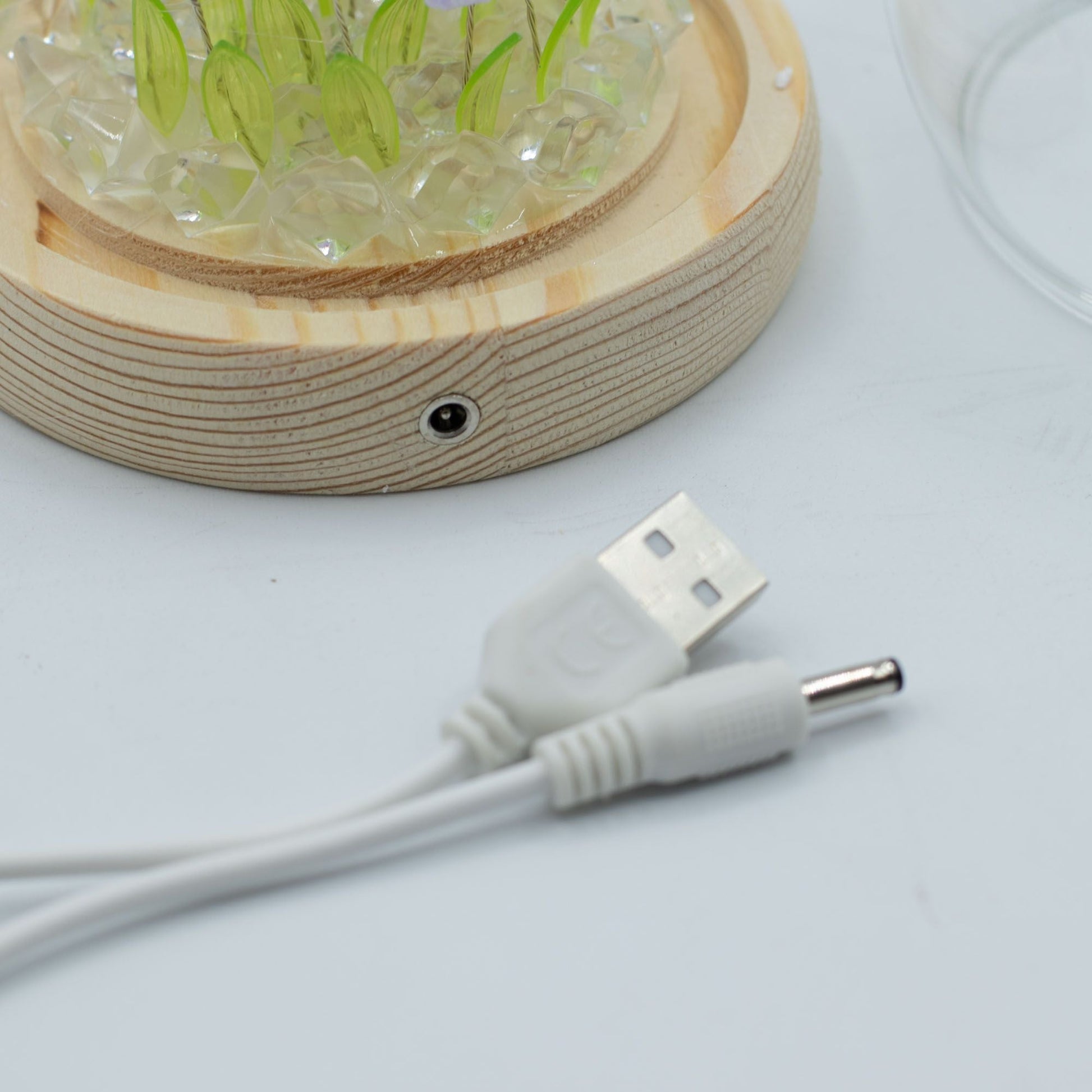 Floral Glow Garden Dome - 20 Tulips - LED USB - Luna Panther