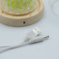Floral Glow Garden Dome - 20 Tulips - LED USB - Luna Panther