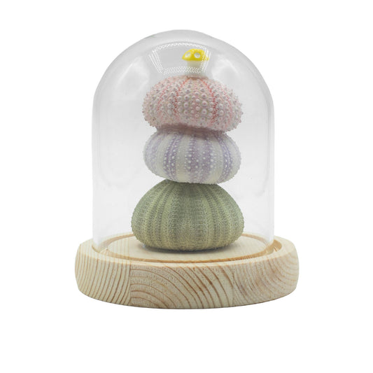Floral Glow Garden Dome - 3 Sea Urchins - LED USB - Luna Panther alternate view