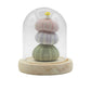 Floral Glow Garden Dome - 3 Sea Urchins - LED USB - Luna Panther