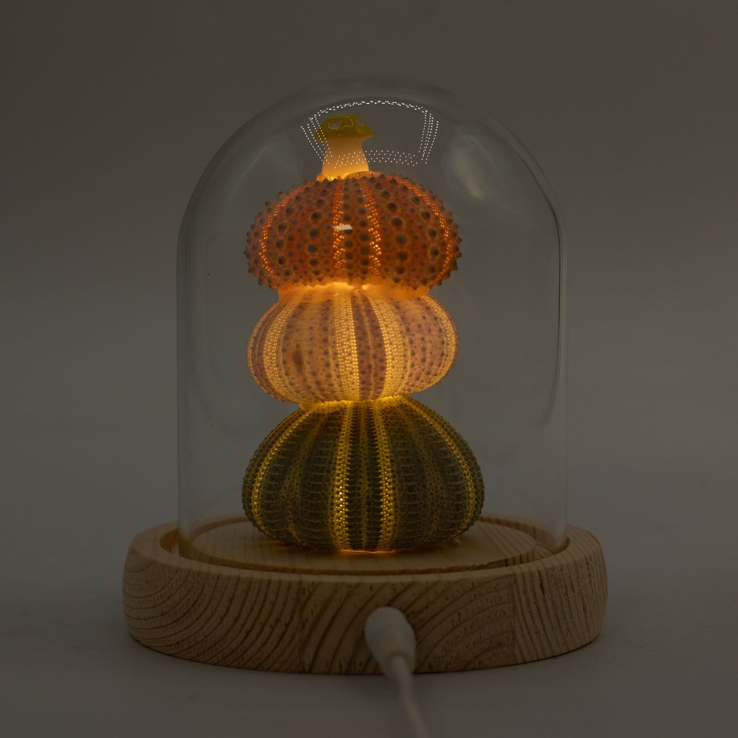 Floral Glow Garden Dome - 3 Sea Urchins - LED USB - Luna Panther