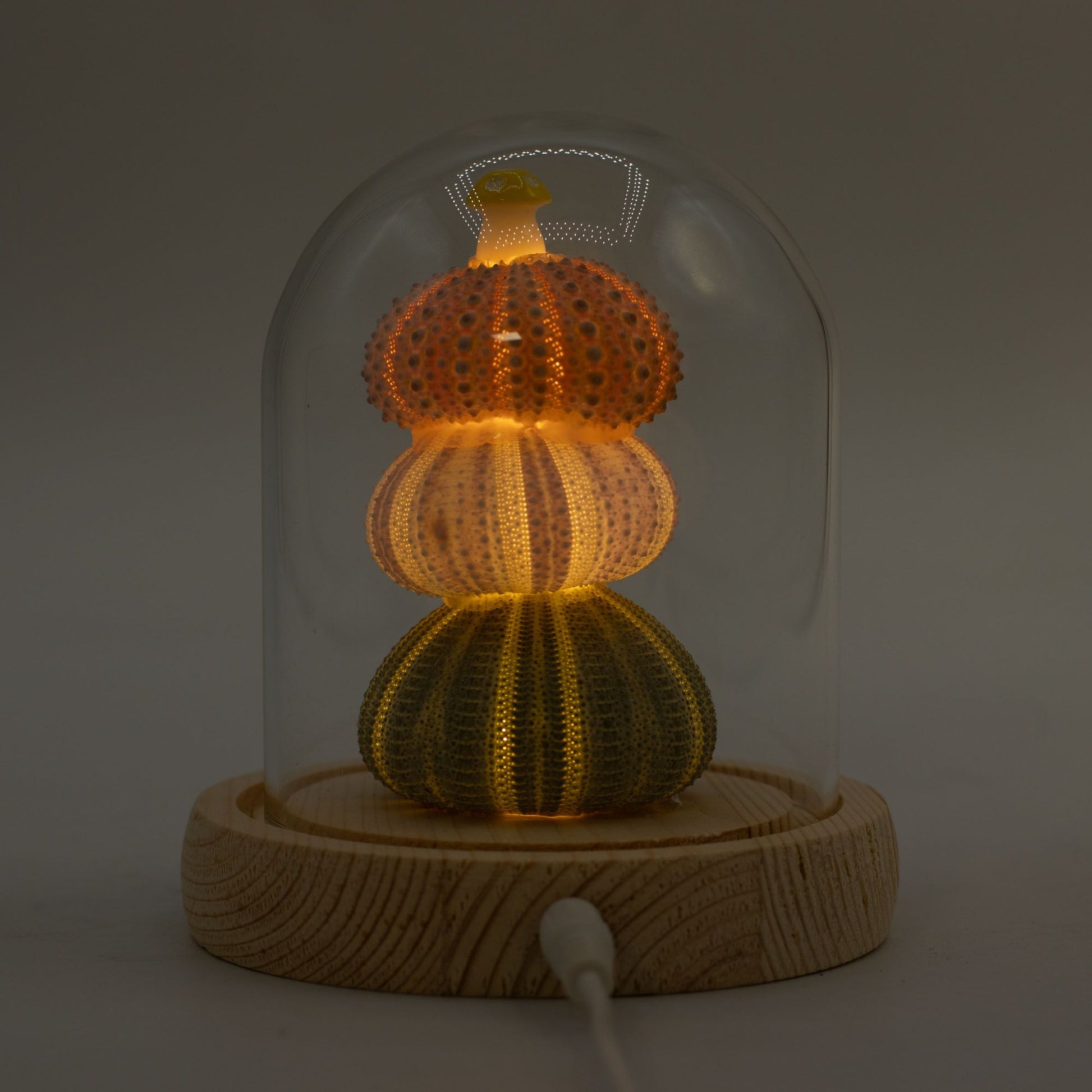 Floral Glow Garden Dome - 3 Sea Urchins - LED USB - Luna Panther
