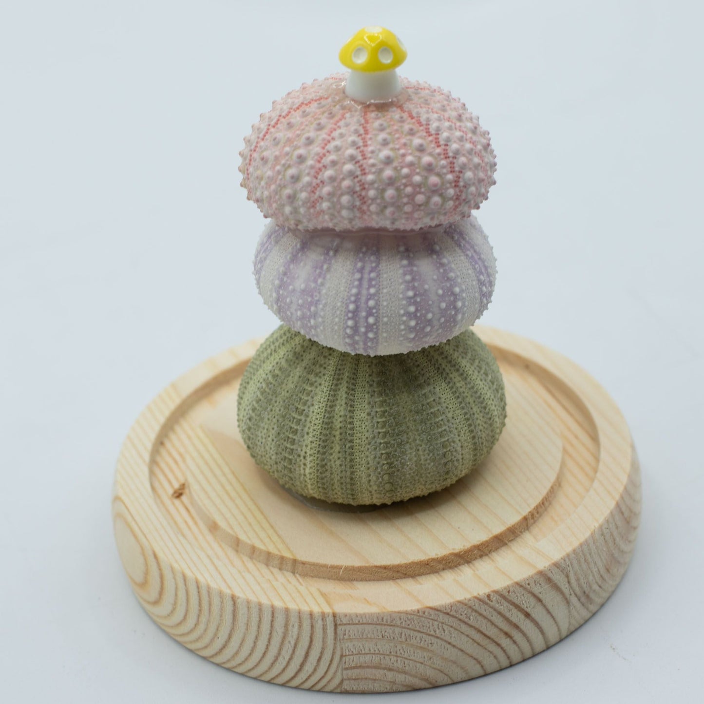 Floral Glow Garden Dome - 3 Sea Urchins - LED USB - Luna Panther