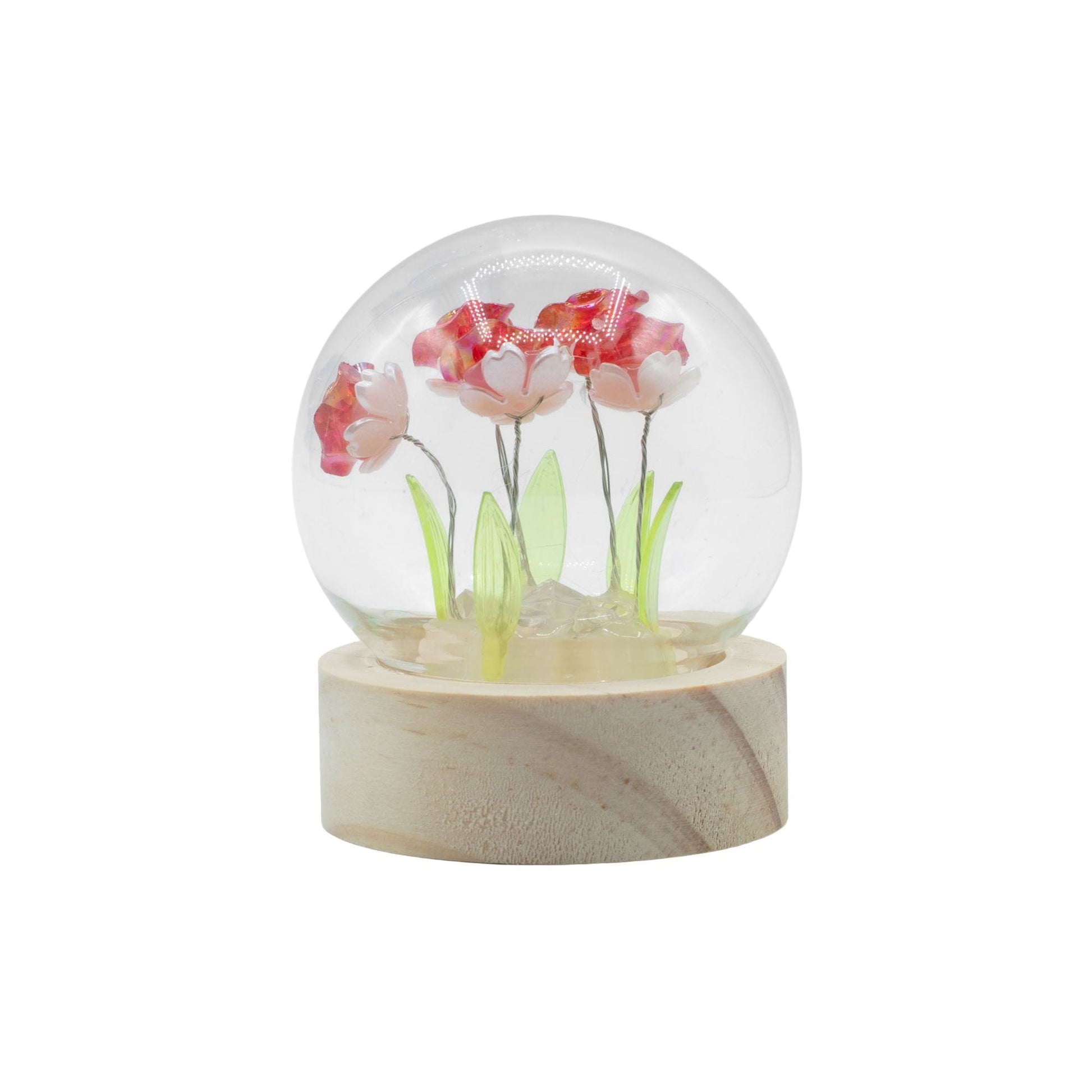 Floral Glow Garden Dome - 5 Red Roses - LED Battery - Luna Panther