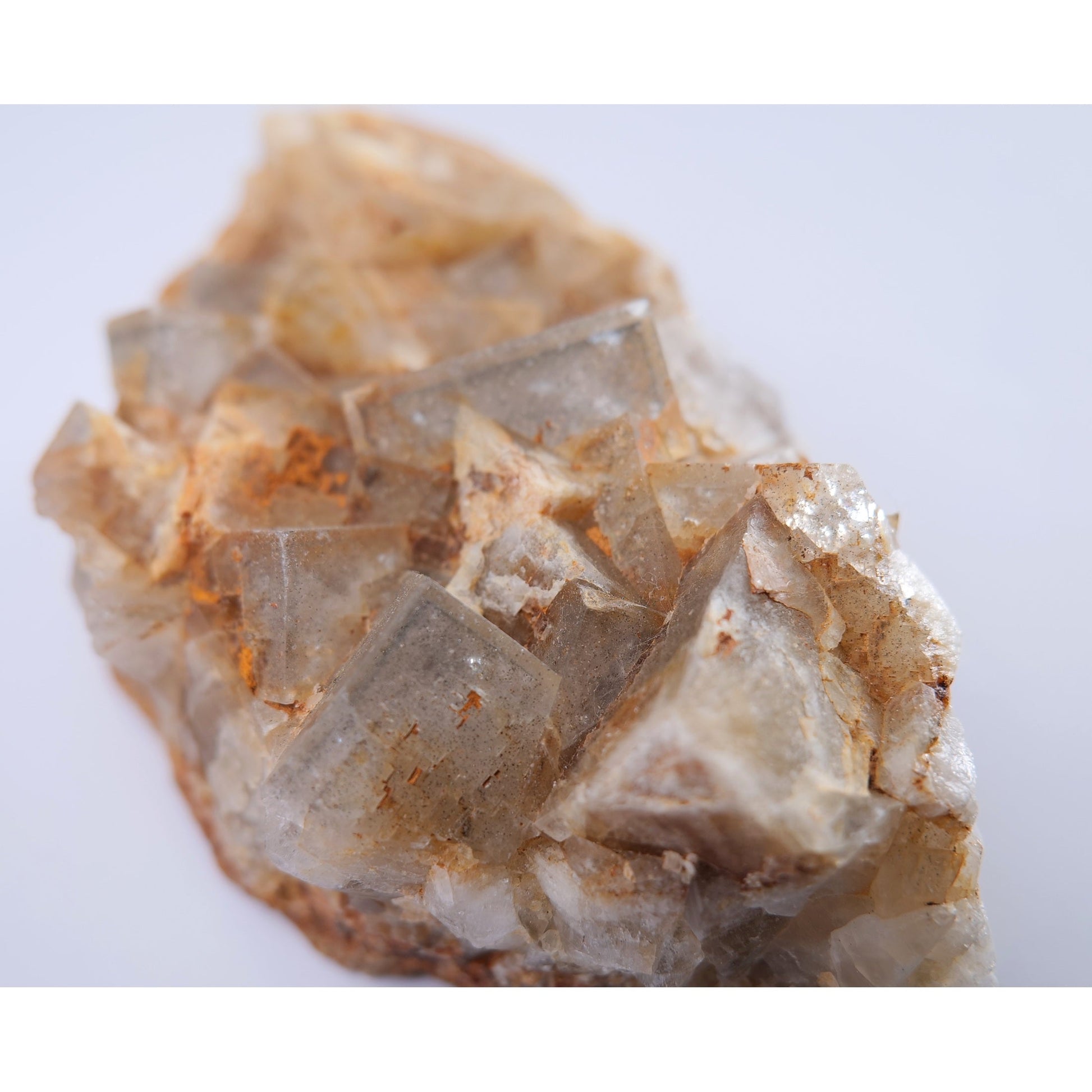 Fluorite Crystal Cluster - 369g - Luna Panther