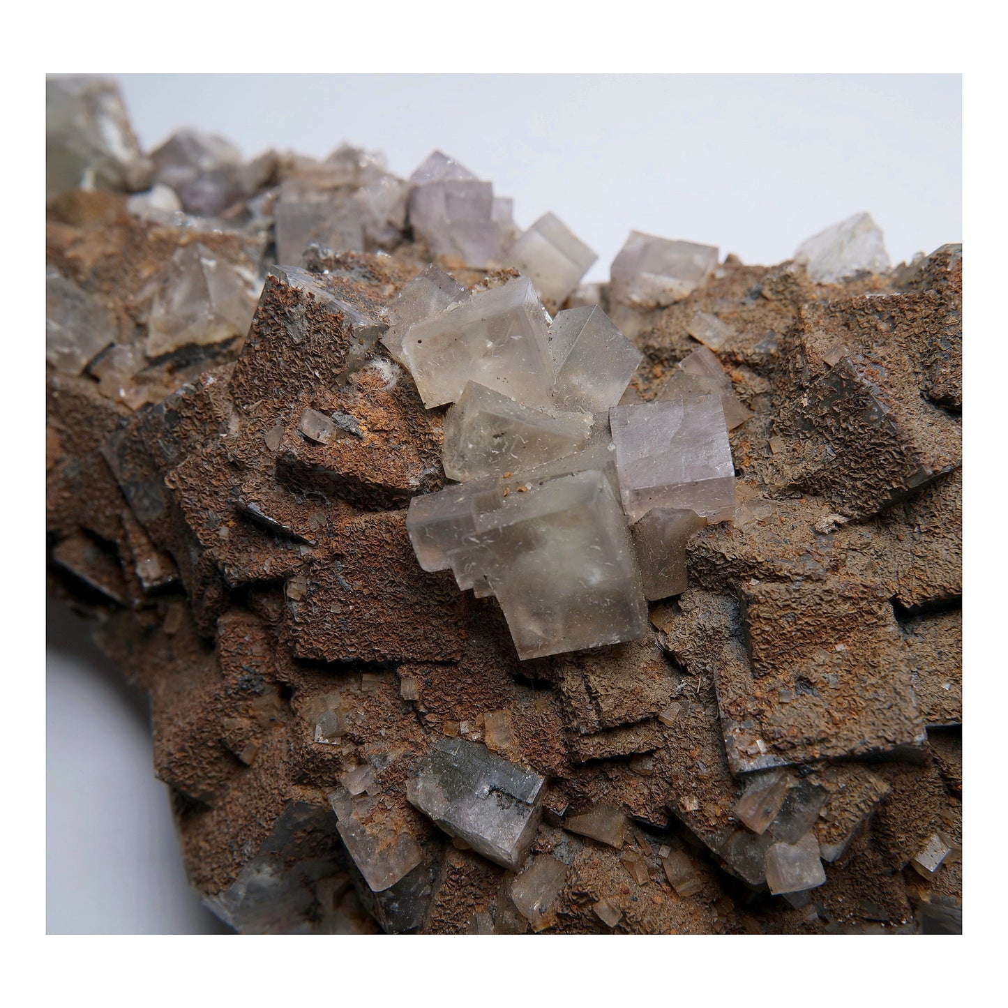 Fluorite with Siderite on Matrix - 756g - Luna Panther