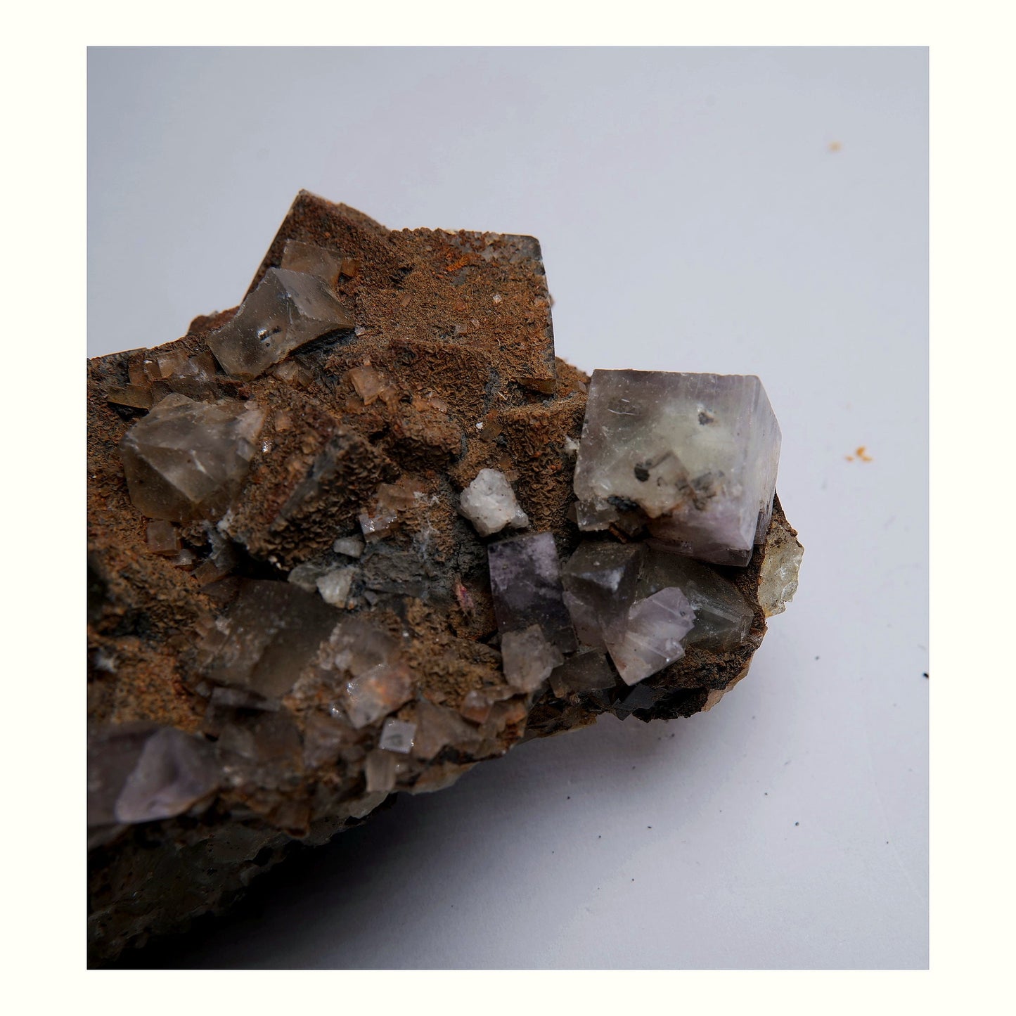 Fluorite with Siderite on Matrix - 756g - Luna Panther