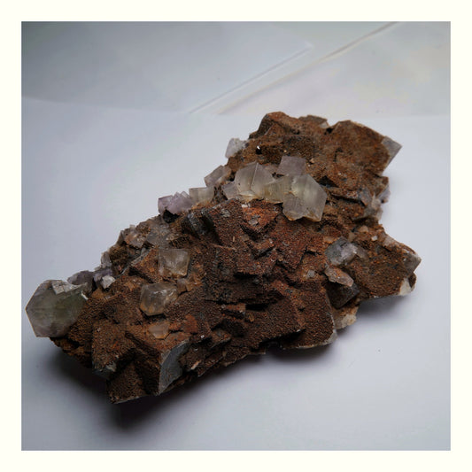 Fluorite with Siderite on Matrix - 756g - Luna Panther