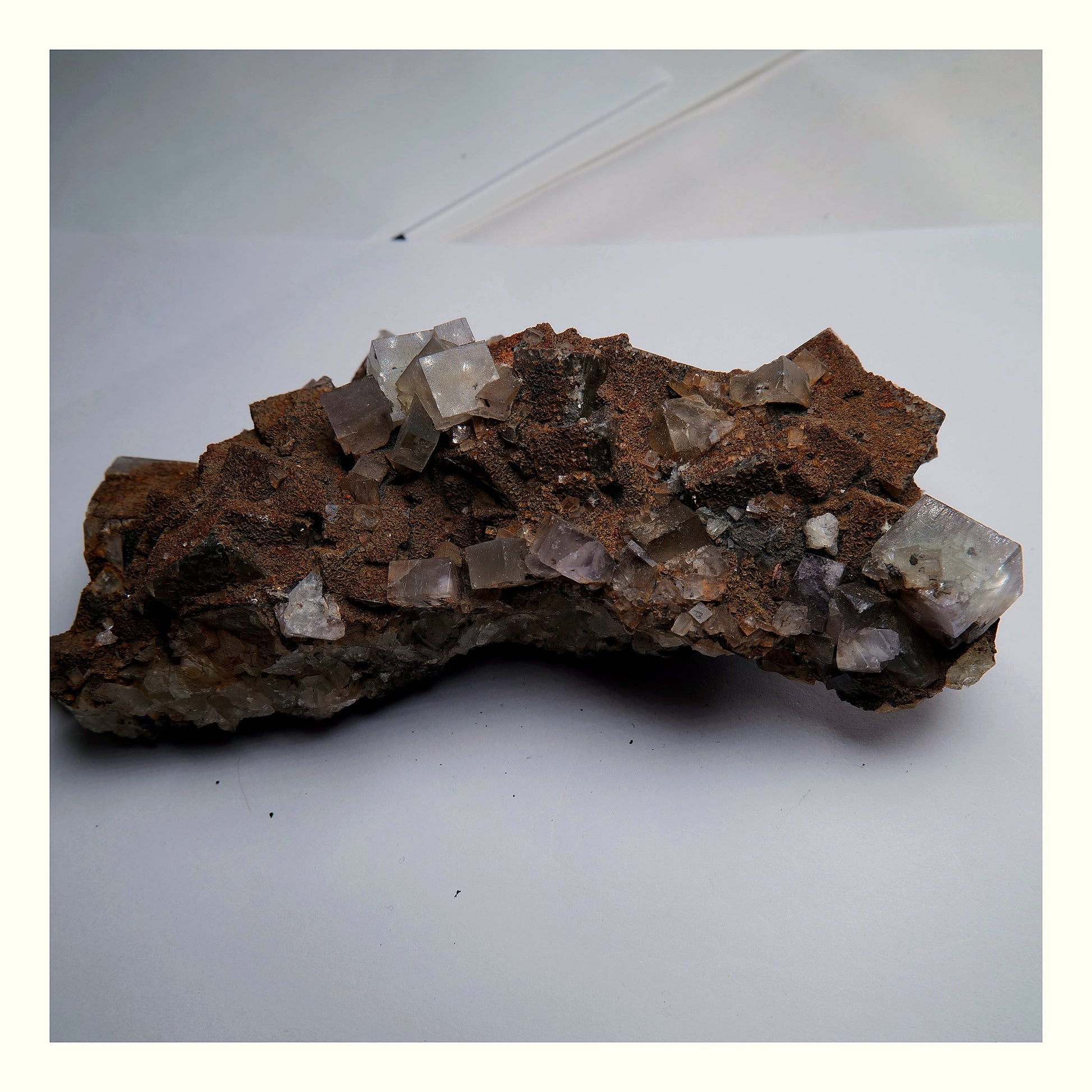 Fluorite with Siderite on Matrix - 756g - Luna Panther