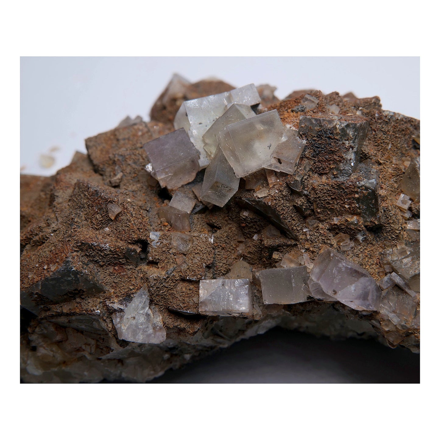Fluorite with Siderite on Matrix - 756g - Luna Panther
