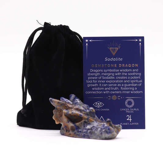 Gemstone Large Dragon Head- Sodalite - Luna Panther