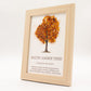 Gemstone Picture - Tree of Life - Baltic Amber (20x14.7x1cm) - Luna Panther