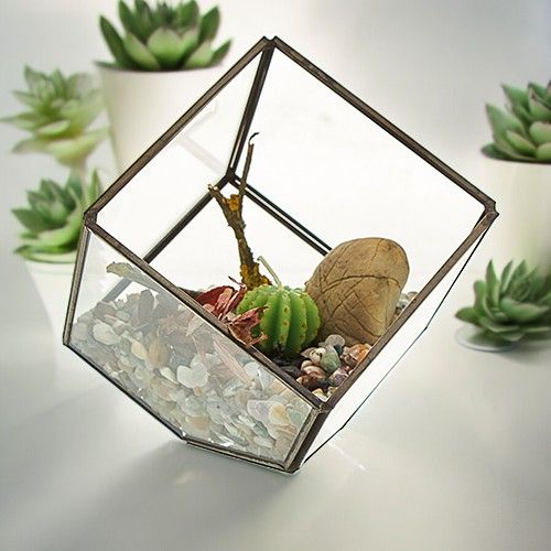 Glass Terrarium - Cube on Corner - Luna Panther