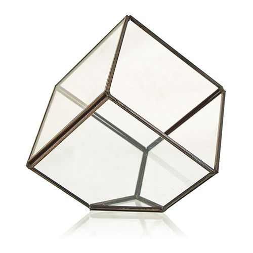Glass Terrarium - Cube on Corner - Luna Panther