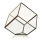 Glass Terrarium - Cube on Corner - Luna Panther