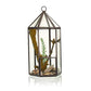 Glass Terrarium - Lantern Shape - Luna Panther