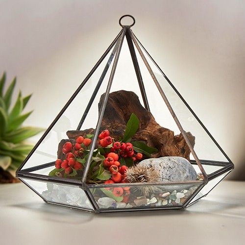 Glass Terrarium - Large Diamond - Luna Panther