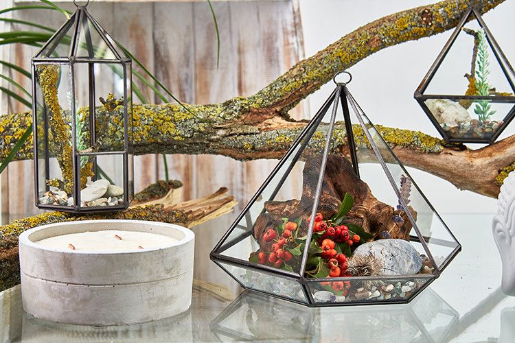 Glass Terrarium - Large Diamond - Luna Panther