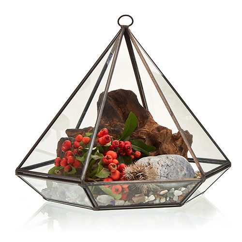 Glass Terrarium - Large Diamond - Luna Panther
