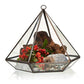 Glass Terrarium - Large Diamond - Luna Panther