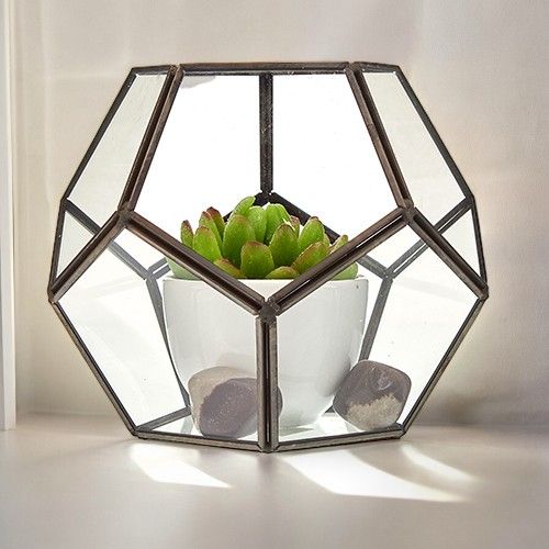 Glass Terrarium - Large Octagon - Luna Panther