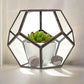 Glass Terrarium - Large Octagon - Luna Panther