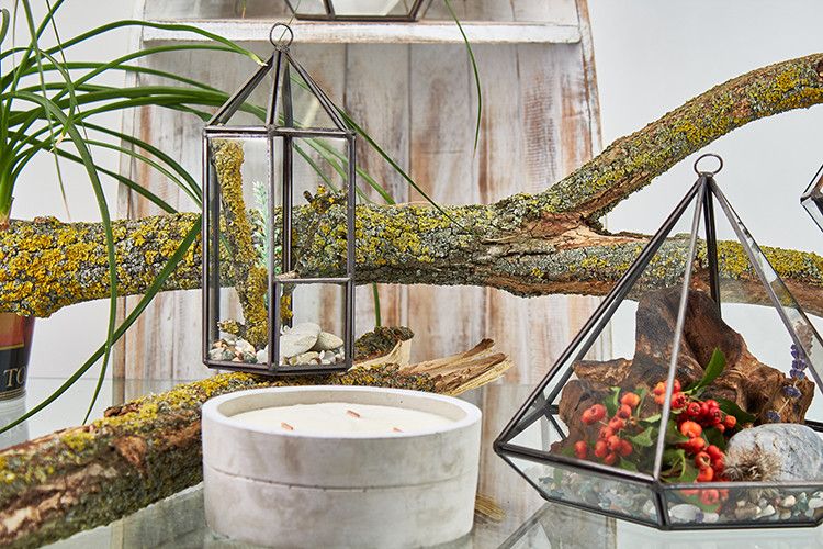Glass Terrarium - Large Octagon - Luna Panther