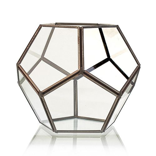 Glass Terrarium - Large Octagon - Luna Panther