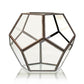 Glass Terrarium - Large Octagon - Luna Panther
