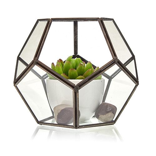 Glass Terrarium - Large Octagon - Luna Panther