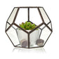 Glass Terrarium - Large Octagon - Luna Panther