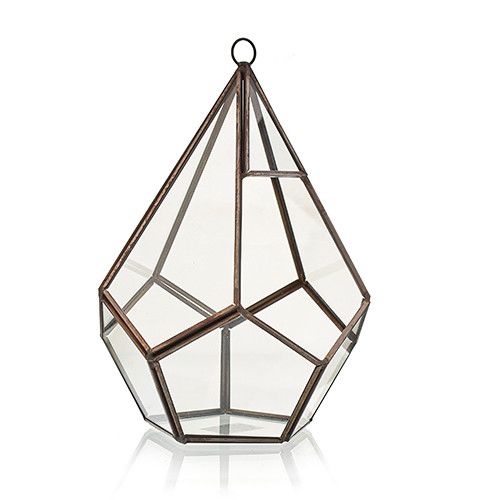 Glass Terrarium - Large Pentagon - Luna Panther alternate view