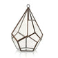 Glass Terrarium - Large Pentagon - Luna Panther