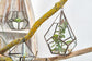 Glass Terrarium - Large Pentagon - Luna Panther