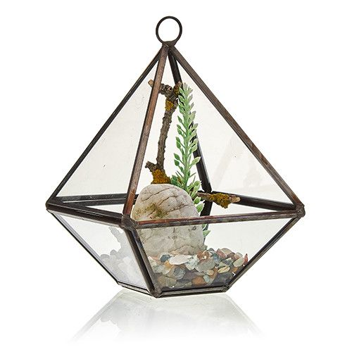 Glass Terrarium - Small Diamond - Luna Panther