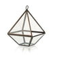 Glass Terrarium - Small Diamond - Luna Panther