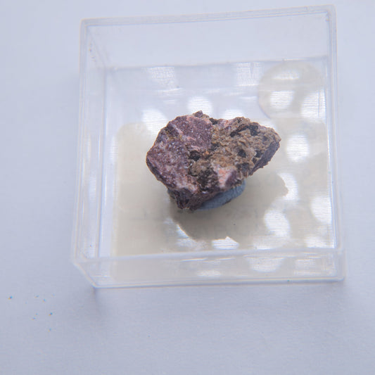 Golden Goethite & Siderite from Taff's Well Quarry, Pentyrch, Wales - Thumbnail - Luna Panther