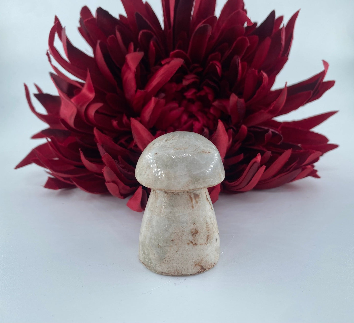 Polished Hackminite Mushroom featuring natural patterning and unique variations - Luna Panther