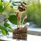 Handmade Parasite Wood Art Carving - Bird & Bee on Mushrooms - Luna Panther