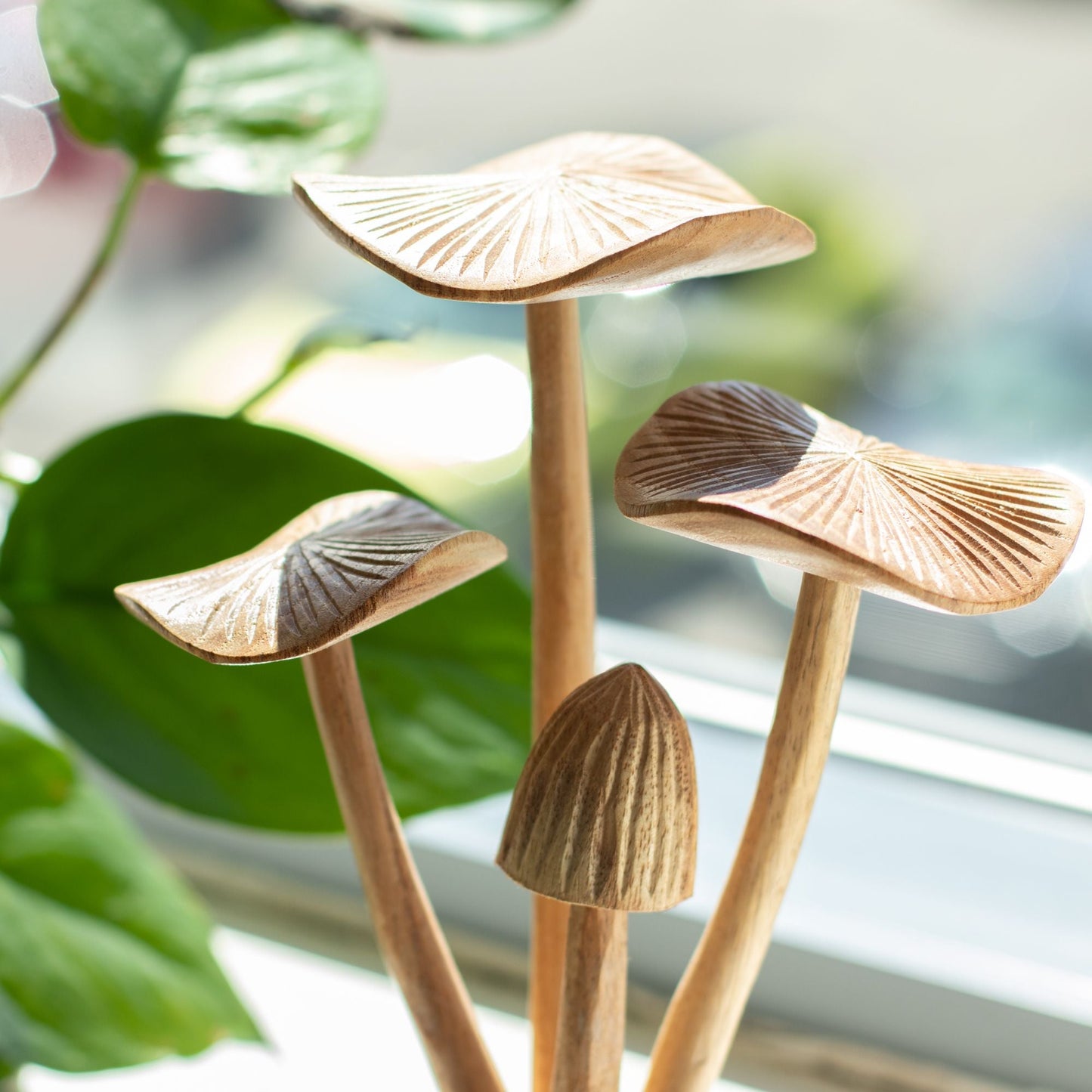 Handmade Parasite Wood Art Carving - Set of 4 Large Mushrooms - Luna Panther