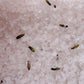 Himalayan Bath Salt Blend 500g - Relax detail view 3 at Luna Panther