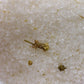 Himalayan Bath Salt Blend 500g - Skin Revive detail view 4 at Luna Panther